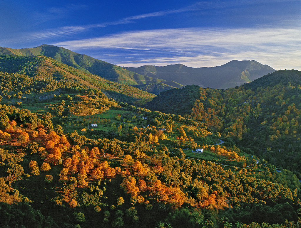 Foto de Valle del Genal en Faraján, Málaga